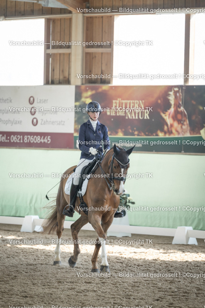 _D5A2631 | Emotionale Pferde- & People-Fotografie rund um Heidelberg, Leimen & Umgebung. Natürliche Fotos von Pferd, Mensch & Familie. Jetzt Termin sichern!