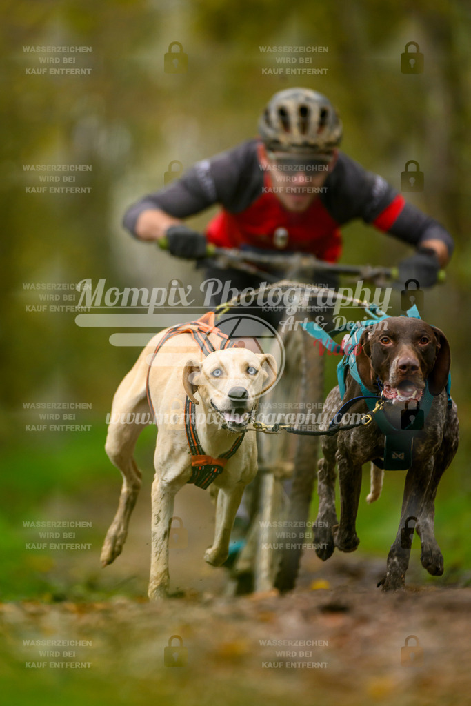 MompixPhotography_20TSB_E6_DS2-4 | PayLife