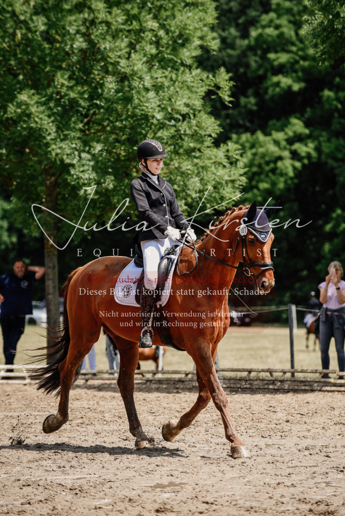 DSC_1536 | Pferde- und Turnierfotografie in Westsachsen. Pferdeportraits, Auftragszeichnungen und intuitive Kunst.