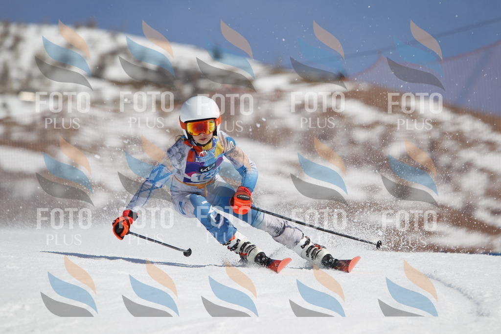 _U3G0786 | holidayphoto