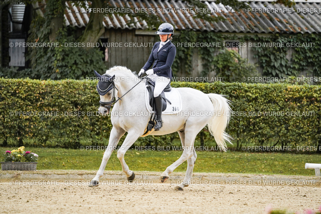 DSC06615 | Pferdegrafie