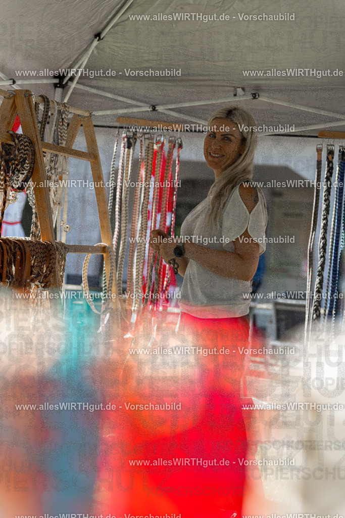 Hundeschwimmen_Volksbad_2026-allesWIRTHgut_Tierfotografie-2609061103-101311-7R509363 | Professionelle Tierfotografie in Mönchengladbach von Daniel Wirth (allesWIRTHgut). Liebevolle & natürliche Bilder von Hunden & Katzen für unvergessliche Erinnerungen.