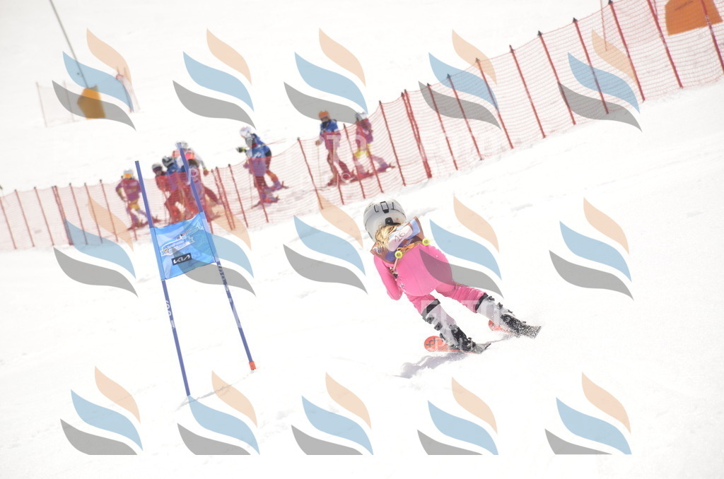 _ELE8610 | holidayphoto