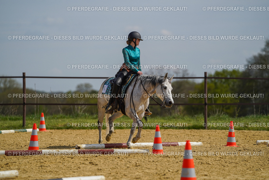 DSC04618 | Pferdegrafie