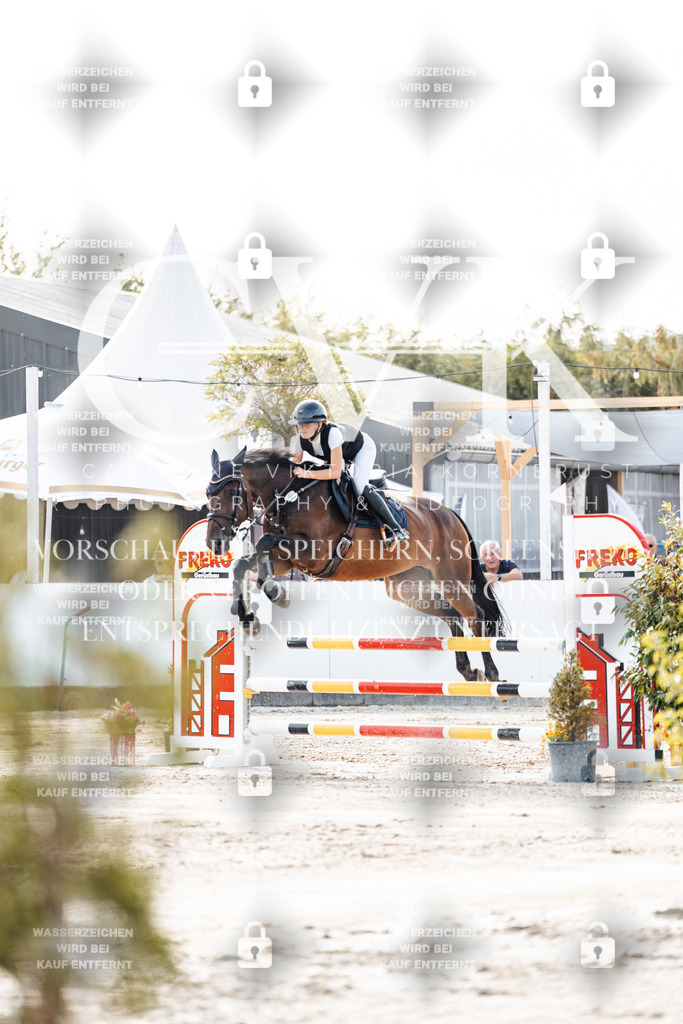 CK906191 | Turnierfotografie Pferdefotografie Trier Rheinland-Pfalz Pferdesport Reitsport Tierfotografie Sportfotografie Pferdevideo Pferdevideografie Equestrianvideography equestrianphotography  - Realisiert mit Pictrs.com