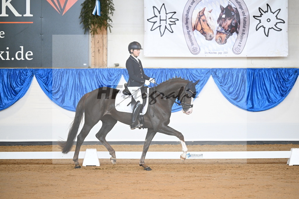 Rotheimer_Danse_avec_moi_4_10230175 | hf-fotografie - Realizzato con Pictrs.com