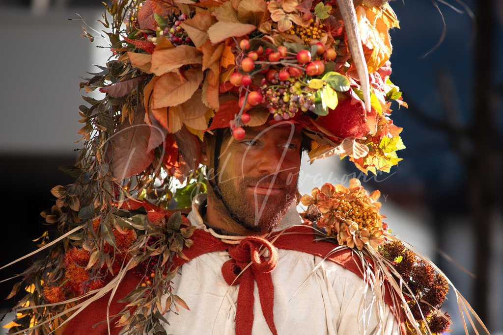 DSC00710 | Professioneller Fotograf - Bildbestellung online - Wandbilder vom Profi für ihr Zuhause, Büro, Praxis, Firma - große Auswahl an Materialien und Formaten, über 1400 regionale Motive