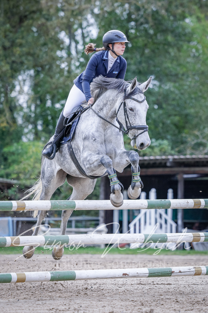 20251012-_3LI5140 | Tierfotografie Pferde, Hunde, Katzen, Haustiere.
Turnierfotografie Reitturniere, Reiten, Springreiten, Dressur in Hanau, dem Main-Kinzig-Kreis und dem Rhein-Main- Gebiet um Frankfurt