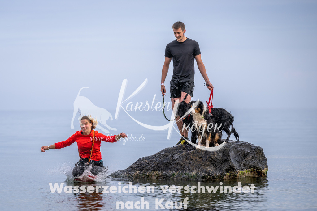 1220_ZZ90988 | kk-dogfotos