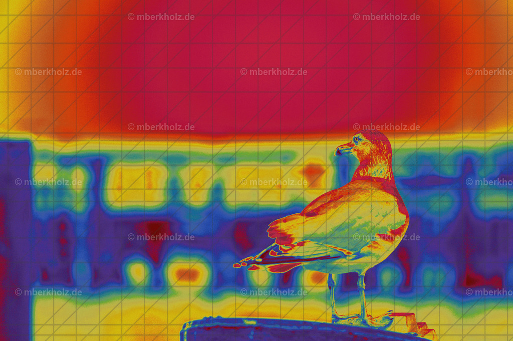 _MBE4427be | Bildkunst Warnemünde, Fotokunst Warnemünde, Fotostudio Rostock Warnemünde, Technologiecampus, Onlinedruckerei, Fotokunst Warnemünde, Ostseebad Warnemünde 