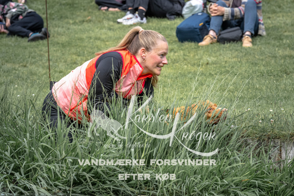 1129_ZZ92479 | kk-dogfotos