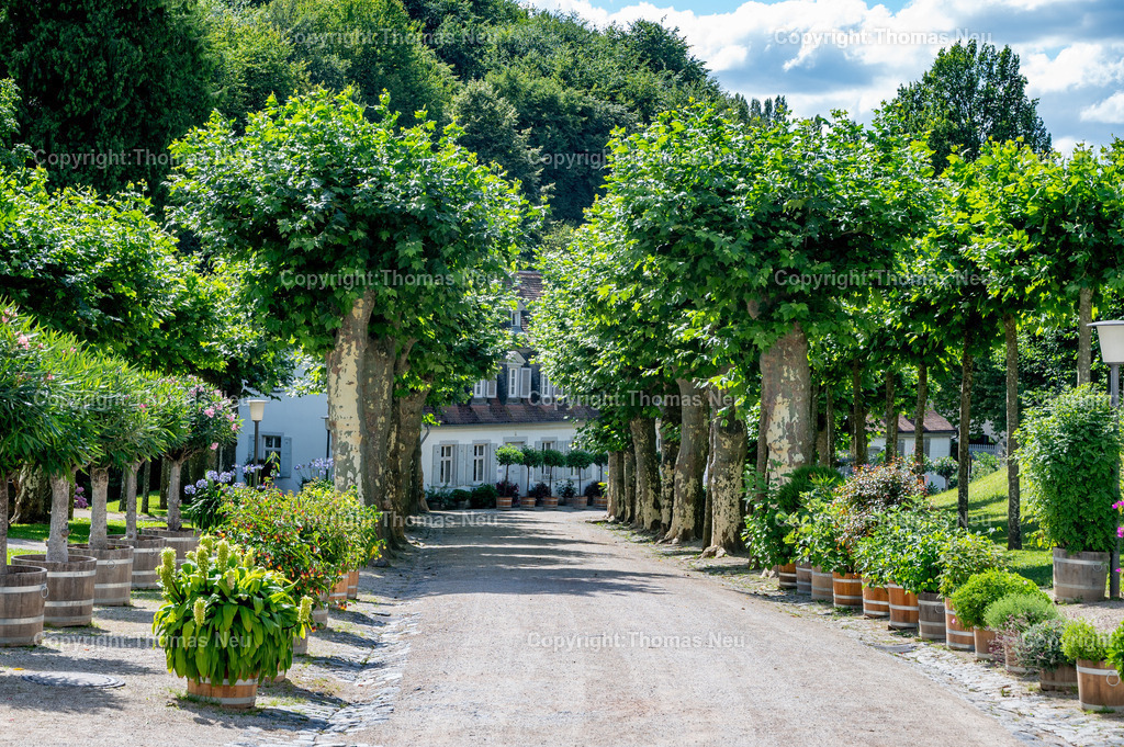 DSC_2567 | Der Staatspark Fürstenlager in Bensheim Auerbach, an der hessischen Bergstraße- ist ein wunderschöner Landschaftspark nach englischen Vorbild. Es war die Sommerresidenz der Darmstädter Fürstenfamilie die hier das "einfache Landleben" genossen. Zu jeder Jahreszeit kann man das Fürstenlager als Ausflugsziel empfehlen. Im Herrenhaus ist eine Gastronomie untergebracht. Im Sommer findet auf der Bühne vor der großen Wiese ein Opern-Air statt, 