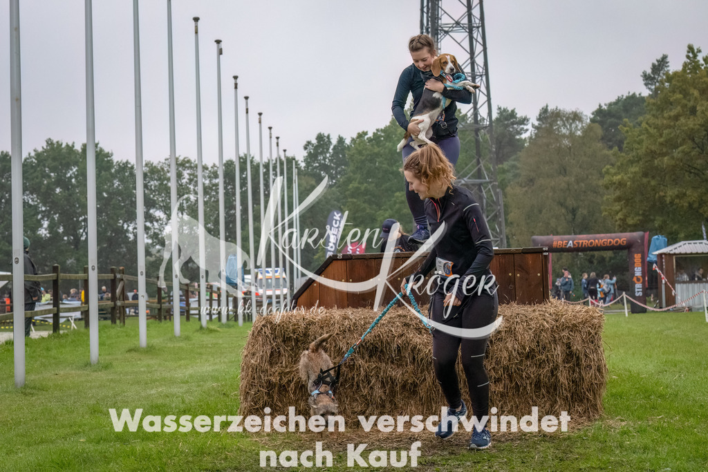 1229--5 | kk-dogfotos
