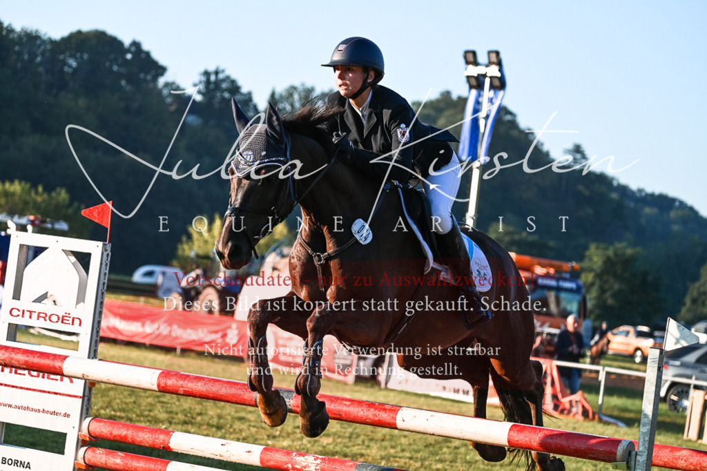DSC_3821 | Pferde- und Turnierfotografie in Westsachsen. Pferdeportraits, Auftragszeichnungen und intuitive Kunst.