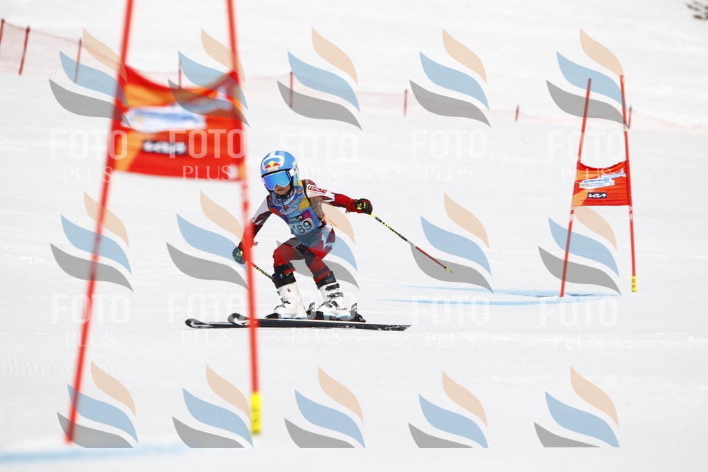 _U3G4946 | holidayphoto