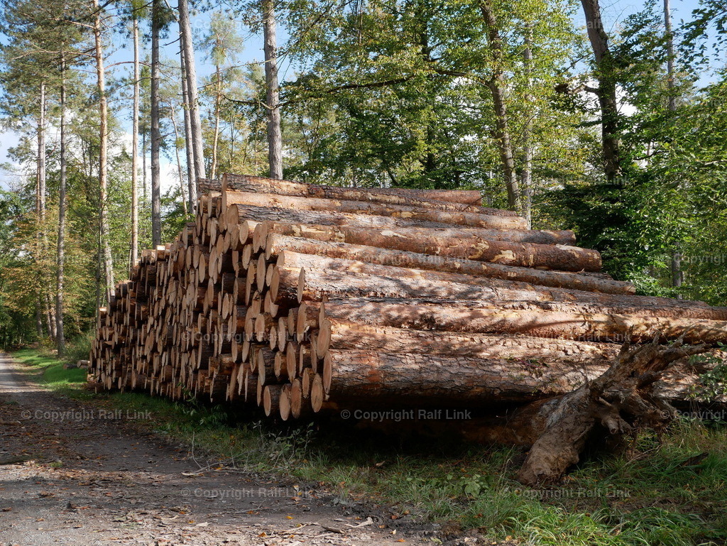 P1000476 | Stockfotos, Fotos mit Miniaturfiguren und kreativen Ideen. Dabei auch vieles aus der Metropolregion Rhein-Neckar. 