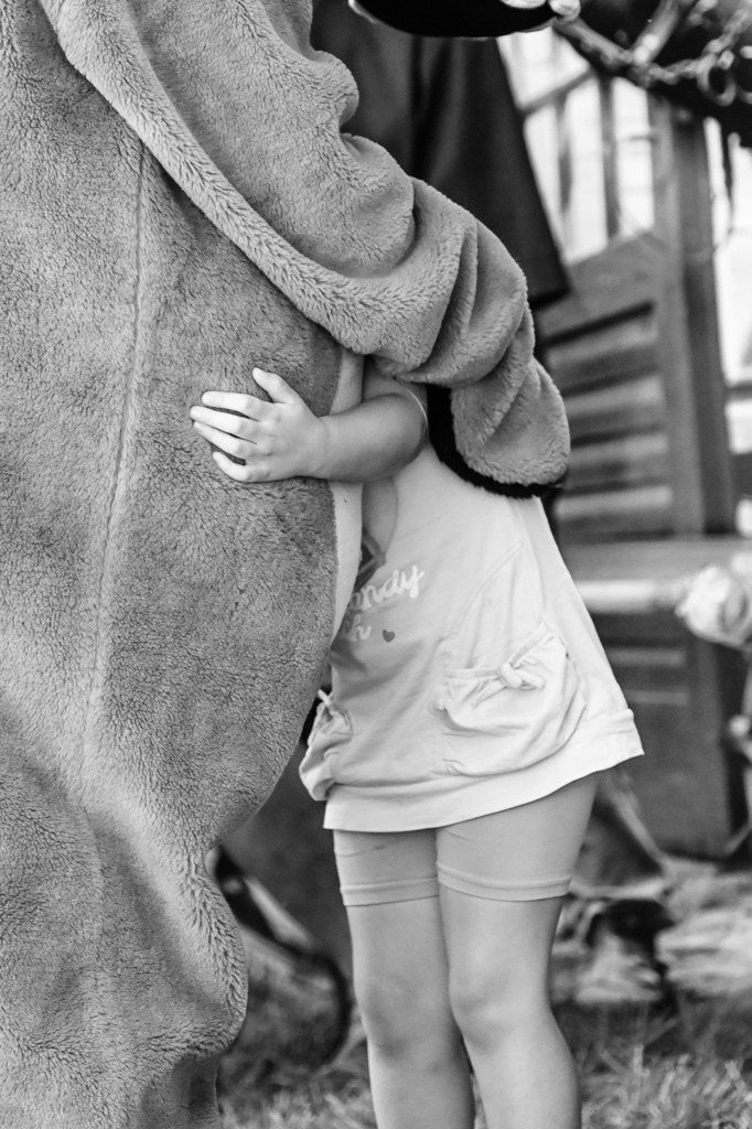 DSC_7139 | Pferde- und Turnierfotografie in Westsachsen. Pferdeportraits, Auftragszeichnungen und intuitive Kunst.