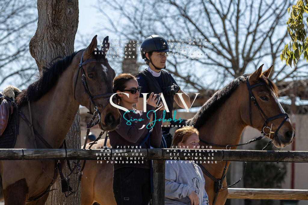 IMG_0653 | s-jay-photography - Realisiert mit Pictrs.com