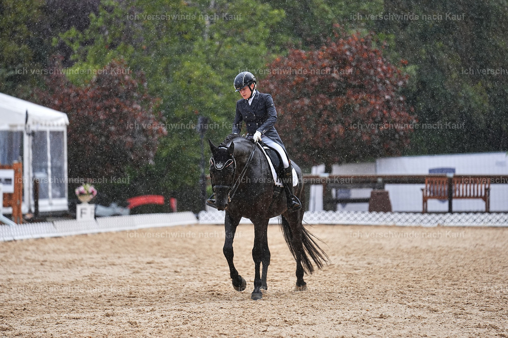 8_2-171-DRESSUR S_  -Marixx-4622 | working equitationturnier fotograf videograf stoibphotography marixx film working equitation deutschland reitsport turnierfotografie eventfotografie equestrian events