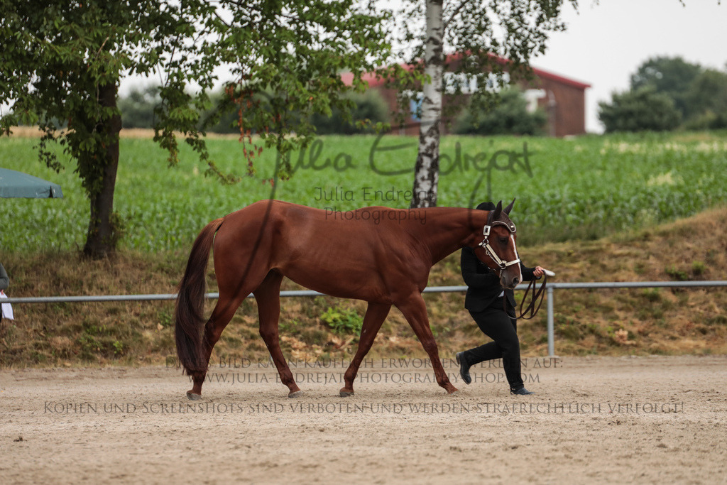 20230630-JuliaEndrejatPhotography-0234 | Julia Endrejat Photography