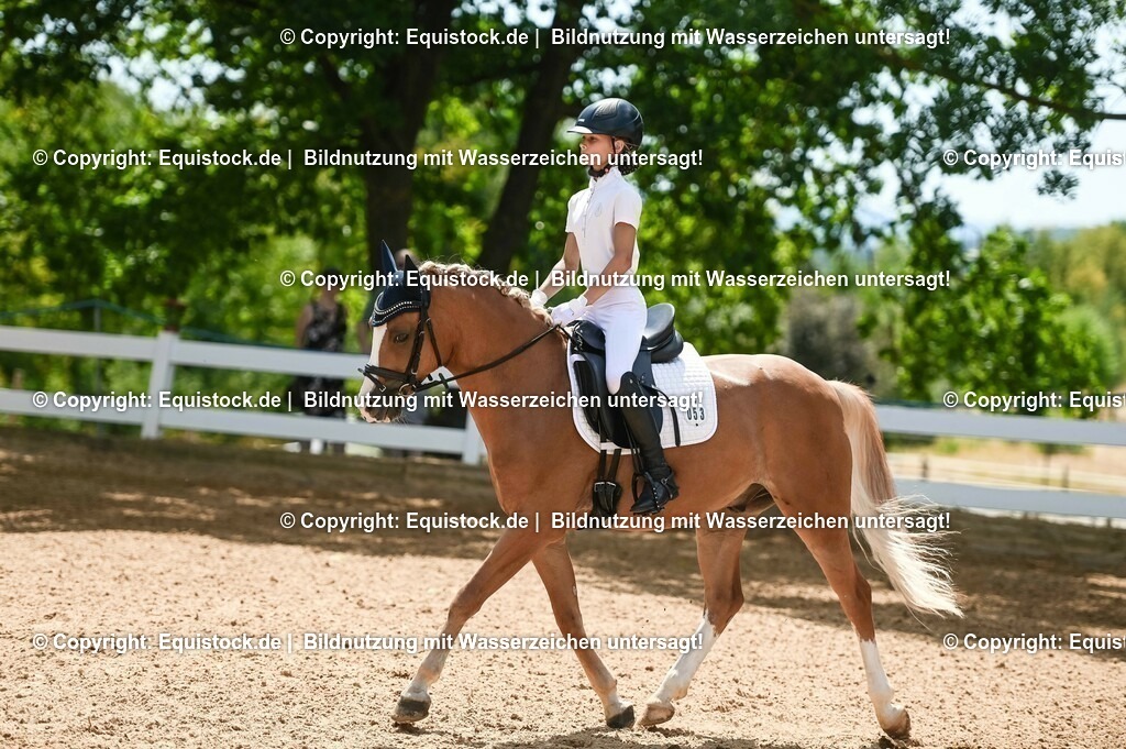 20230715_09_Dressur-WB_0251 | equistock