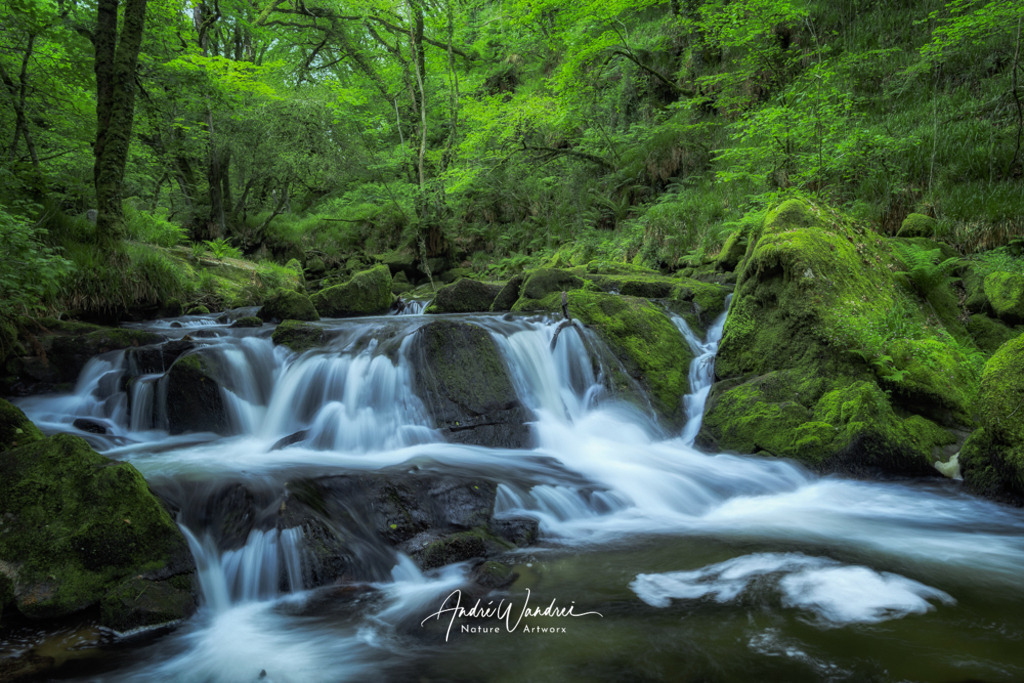Am rauschenden Bach | Andre Wandrei - Nature Artworx - Realisiert mit Pictrs.com