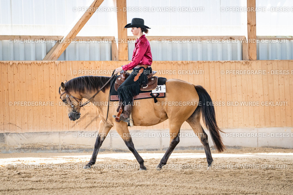 DSC03336 | Pferdegrafie