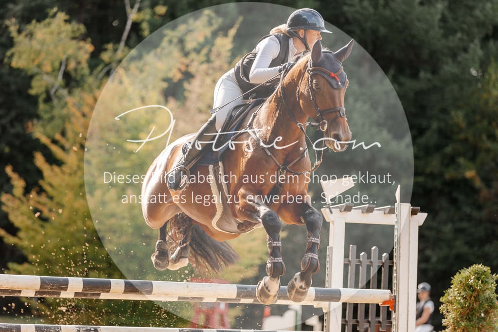 3I6A4803 | Stimmungsvolle Portraits und Reitsportfotografie im Ruhrgebiet und im Münsterland.

Pferdefotografie, Hundefotografie, Tierfotografie, Reportagen, Portraits von Tier und Mensch, Turnierfotografie in Bochum, Recklinghausen, Marl, Haltern am See, Dülmen.. - Realisiert mit Pictrs.com