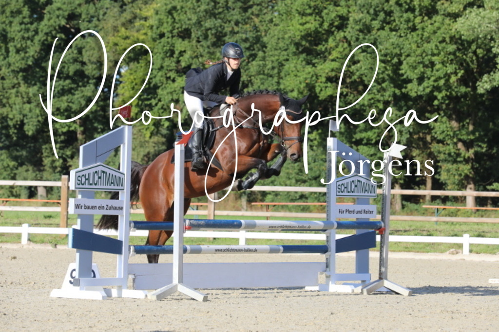 IMG_6350 | photographesa-joergens - Realisiert mit Pictrs.com