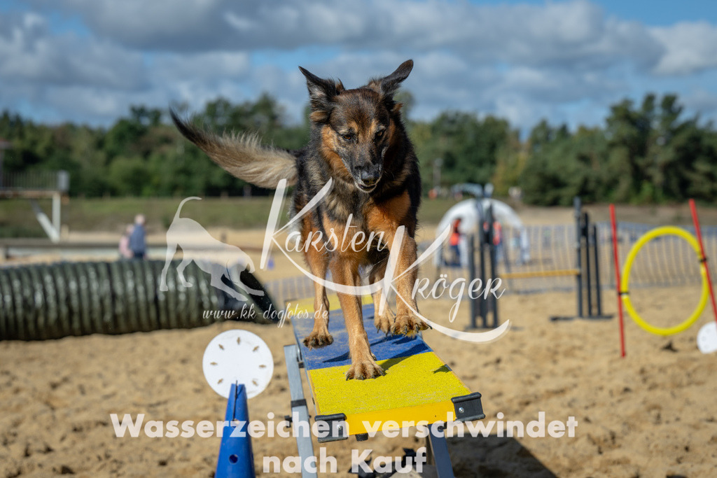 1155_ZZ92464-2 | kk-dogfotos