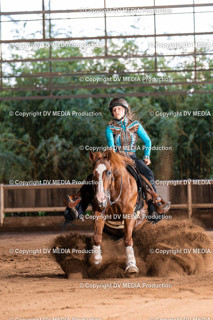 Erbach Tag 2-926 | dv-media-shop - Realisiert mit Pictrs.com