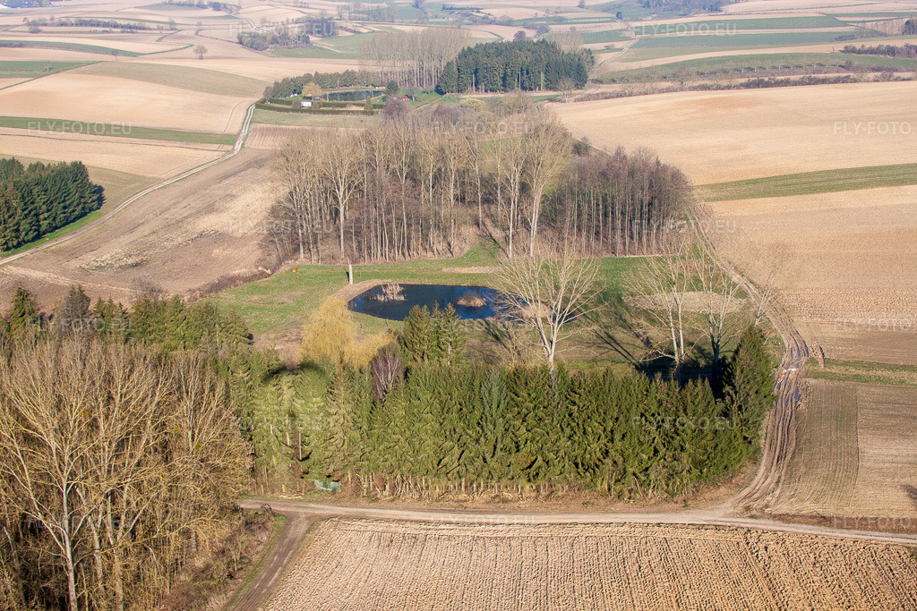 Vue aérienne: Vue de la ville à Siegen dans le département Bas Rhin, France. Photo: IMG_62680.jpg prise le 09/03/2014 par Werner Riehm/FLY-FOTO.eu – Résolution de l'original: 4752 x 3168 px
