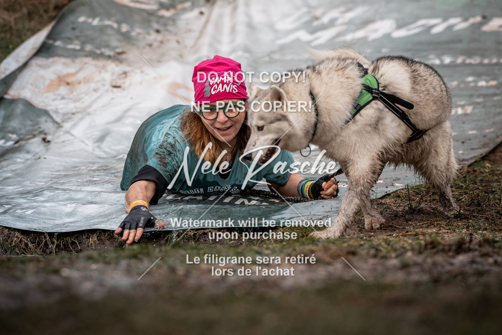 nelerasche_1330-1400_44 | nelerasche