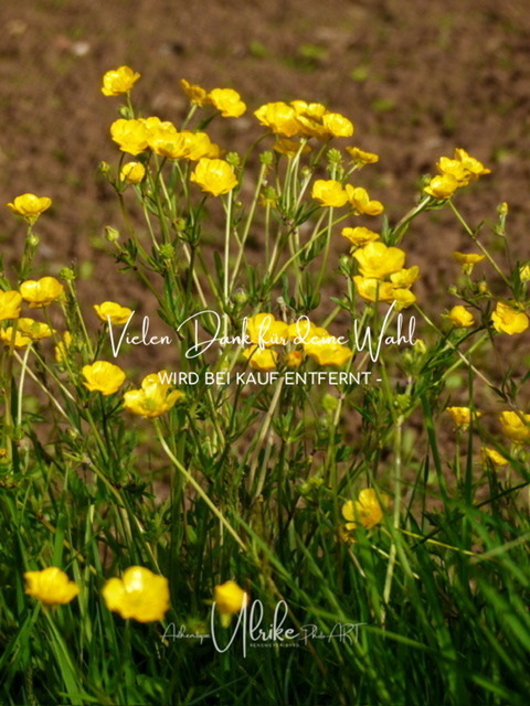 IMG_6930 | Fotografie für »mehr« Persönlichkeit ... von Anfang an - authentisch natürlich emotional - Geburt, Kinder und Familie, Entrepreneure, Kreative, Kamera-Scheue, Interessierte. Mit Empathie und ohne Posen erstelle ich Bilder mit "Wieder-Erkennungs-Gefühl".