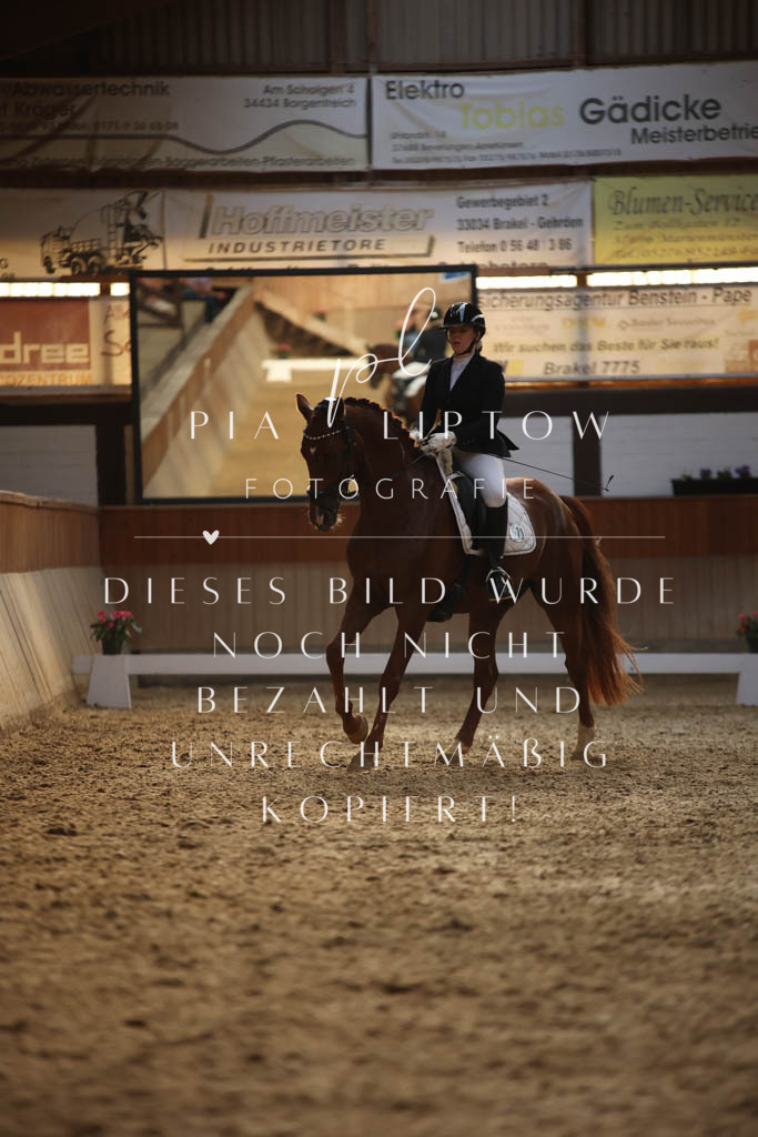 IMGS3851 | pl-fotografie