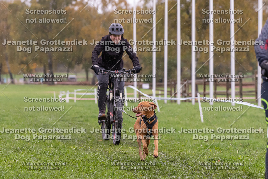 Dog Paparazzi - SD CaniX Championship 2025-945 | Dog Paparazzi Jeanette Grottendiek Fotografie & Videografie - Realisiert mit Pictrs.com