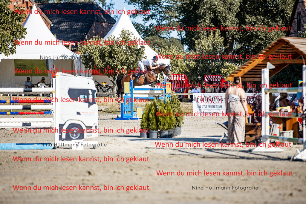 BK1A8193 | Turnierbilder Turnierfotos Nina Hüffmann Turnierfotografie Pferdefotografie Tierzeichnung Haustierzeichnung Pferdezeichnung Hundezeichnung Videograf  - Realisiert mit Pictrs.com