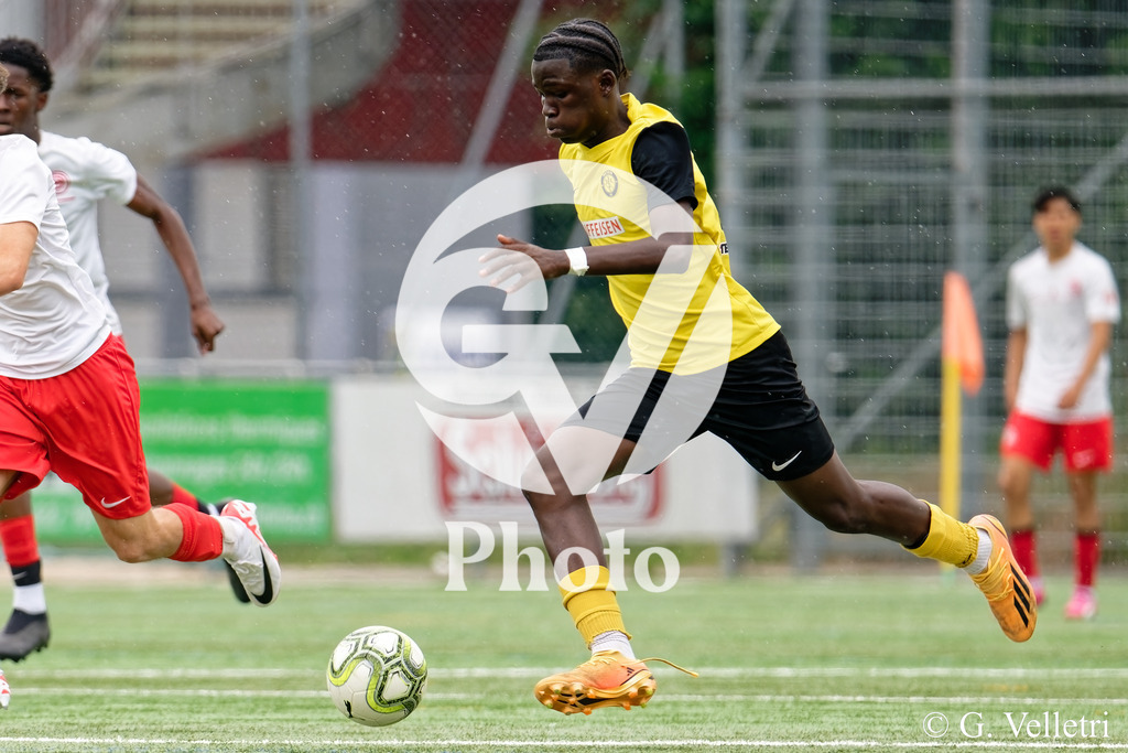 DSC_6920 | Velletri Photo