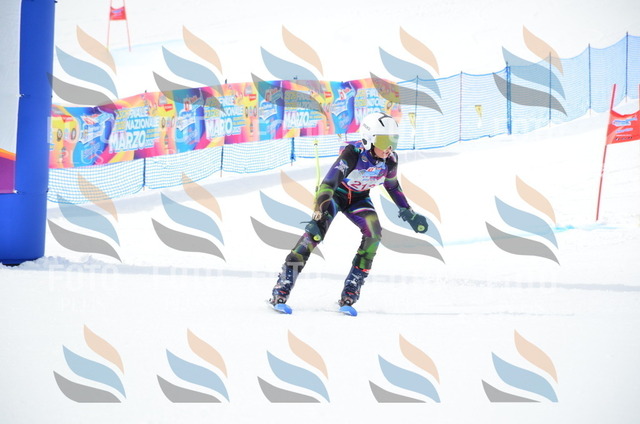 SLV_3061 | holidayphoto