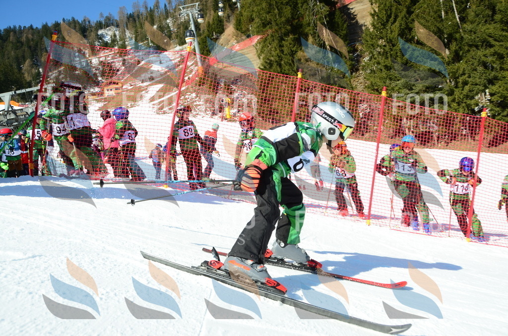 C5354 | holidayphoto