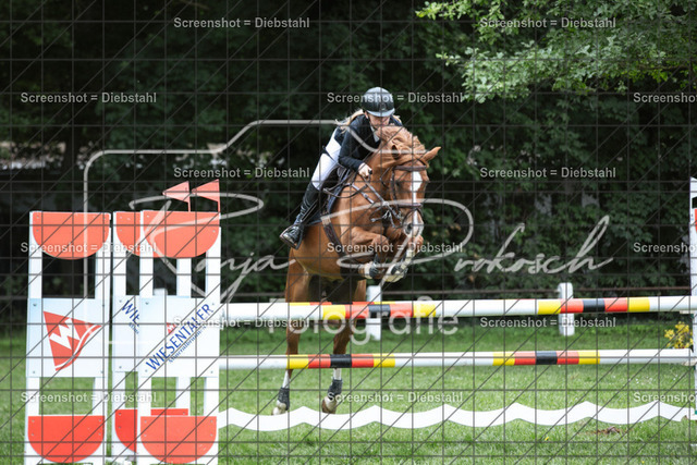 _W6A1320 | ronjaprokoschfotografie - Realisiert mit Pictrs.com