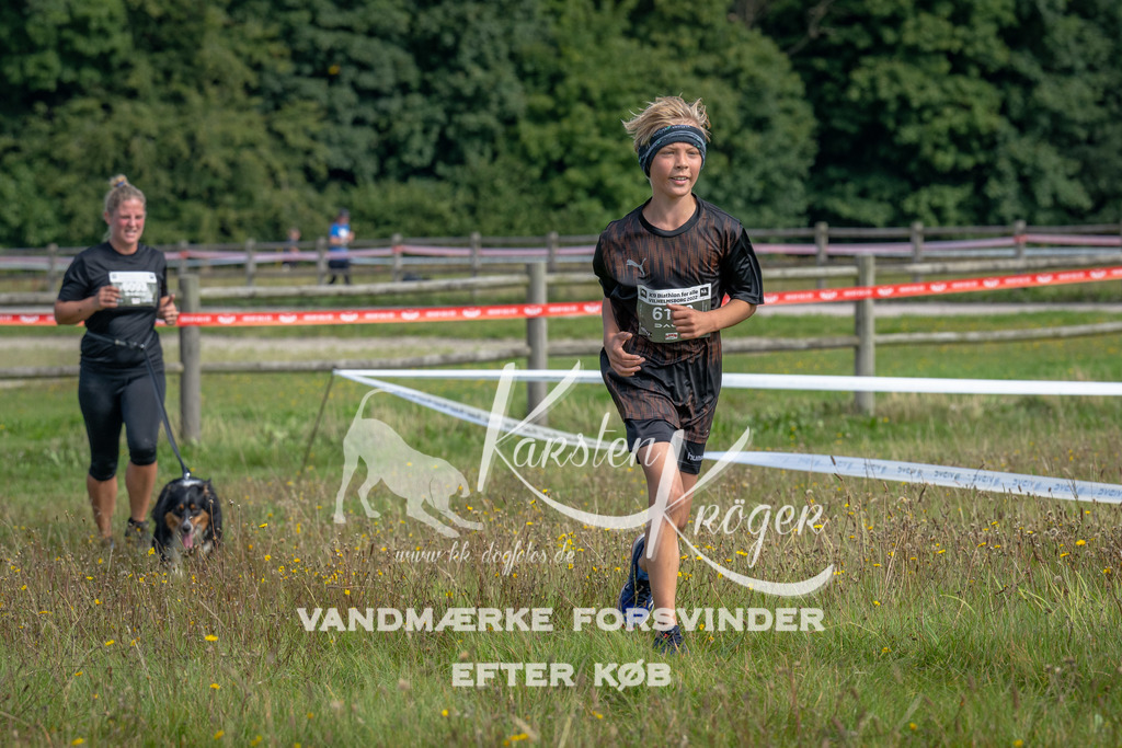 1155_ZZ90399 | kk-dogfotos