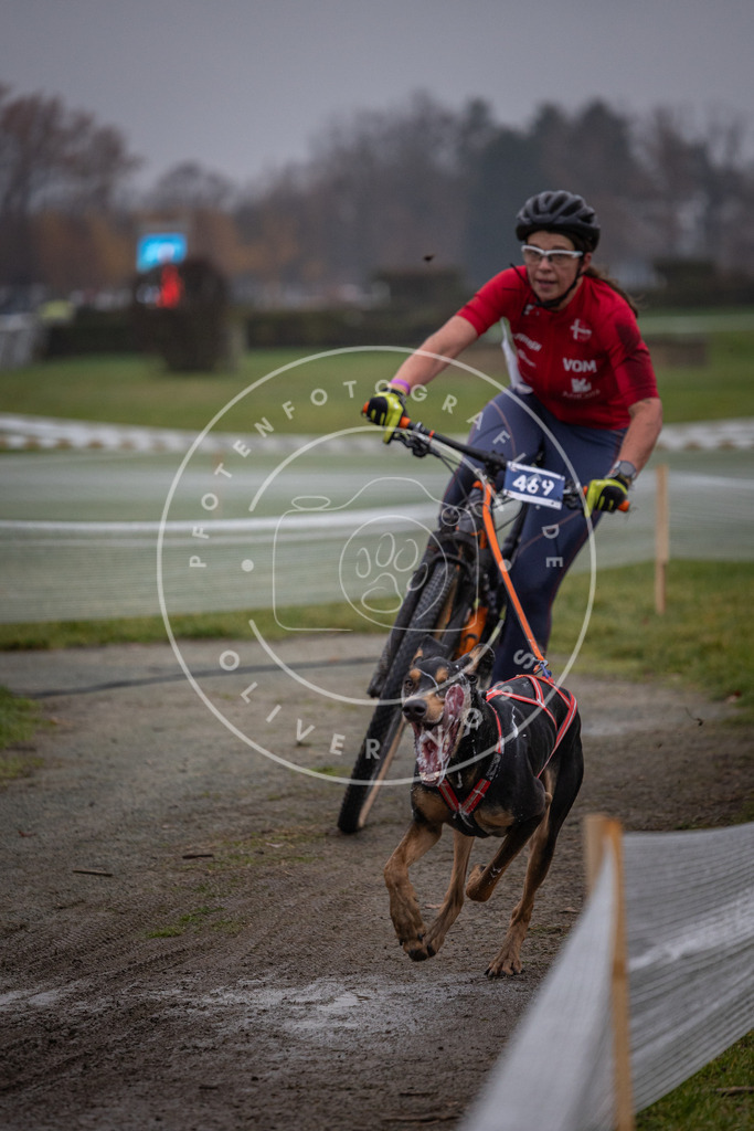 CaniXpix_0L8A1437 | Hundefotografie, Tierfotograf, Pfotenfotografie, Fotoshooting Hund, Hunde Portrait, Hundesport, Hundeportraits, Heideshooting, Hunde, Sportfotograf, Hundefotograf, Turnierhundsport, THS,  - Realisiert mit Pictrs.com