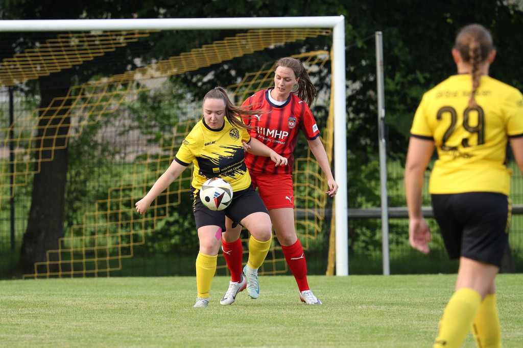 Fußball I FRAUEN I Saison 2025-2026 I Freundschaftsspiel I SGM Ebnat-Waldhausen - 1FC Heidenheim 1846 2 I_250823_6146 | Fotopresso – Sportfotografie in Heidenheim & Umgebung. Professionelle Sportfotografie für unvergessliche Momente. Dynamische Action-Shots, emotionale Szenen & hochwertige Bilder. - Realisiert mit Pictrs.com