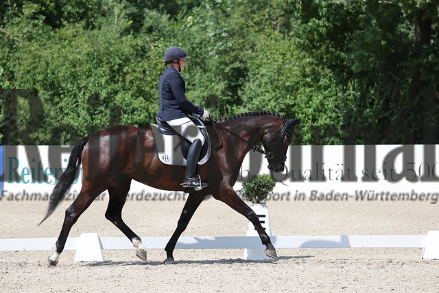 Weilheim_2025_Prfg.Nr.24_Reitpferdeprüfung_Virginie Strohmeier_Glory Days 10 (5) | Alle Fotos der Reiterjournal Fotografin Doris Matthaes im Reiterjournal Online-Fotoshop. - Realisiert mit Pictrs.com