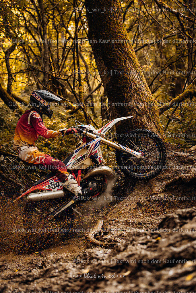 E68A6169 | blick_win_kel