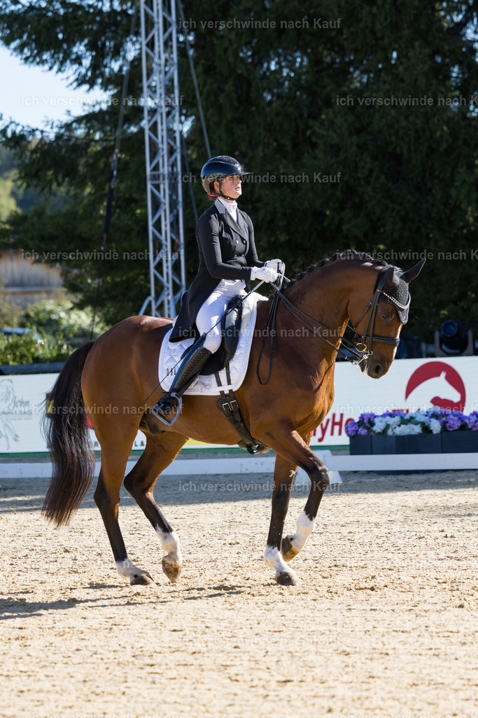 FHC2026_P07_80_17419 | working equitationturnier fotograf videograf stoibphotography marixx film working equitation deutschland reitsport turnierfotografie eventfotografie equestrian events