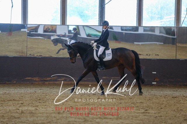 IMG_7570 | Turniersportfotografie; Pferdefotografie; Dressurfotografie