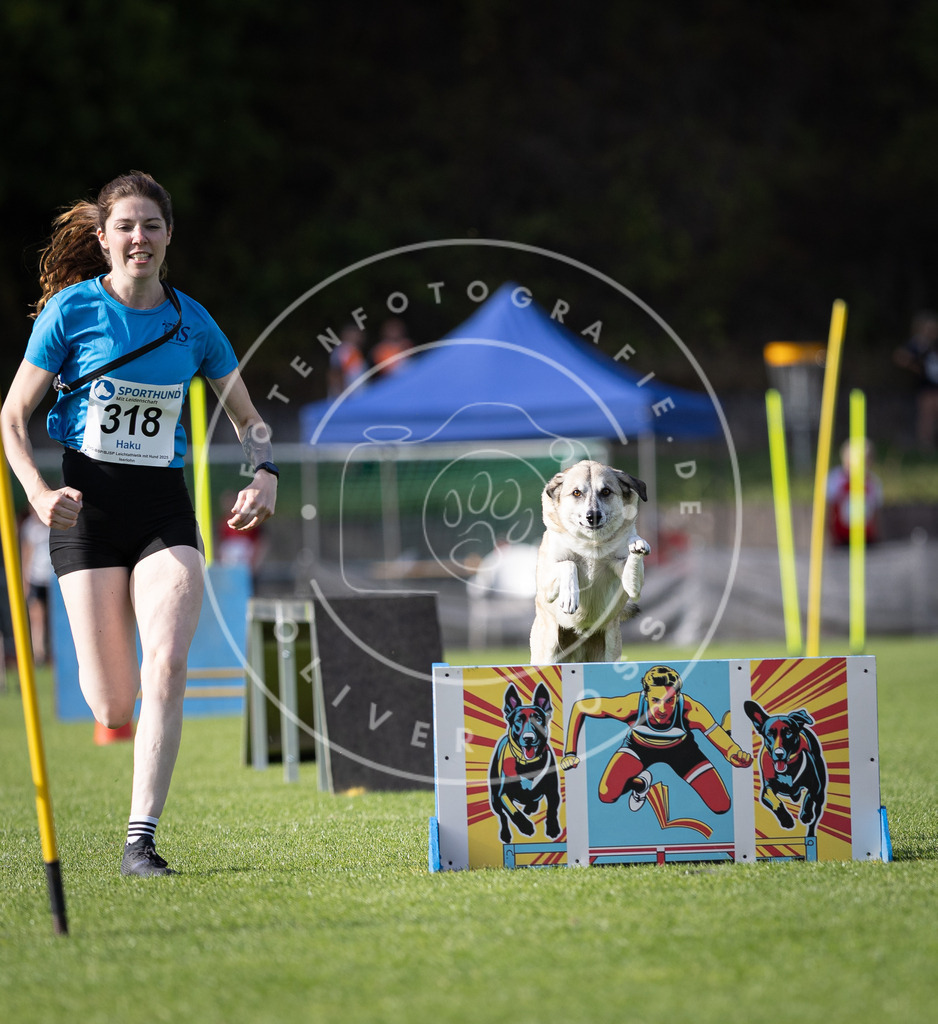 Pfotenfotografie_DV3A2222 | Hundefotografie, Tierfotograf, Pfotenfotografie, Fotoshooting Hund, Hunde Portrait, Hundesport, Hundeportraits, Heideshooting, Hunde, Sportfotograf, Hundefotograf, Turnierhundsport, THS,  - Realisiert mit Pictrs.com