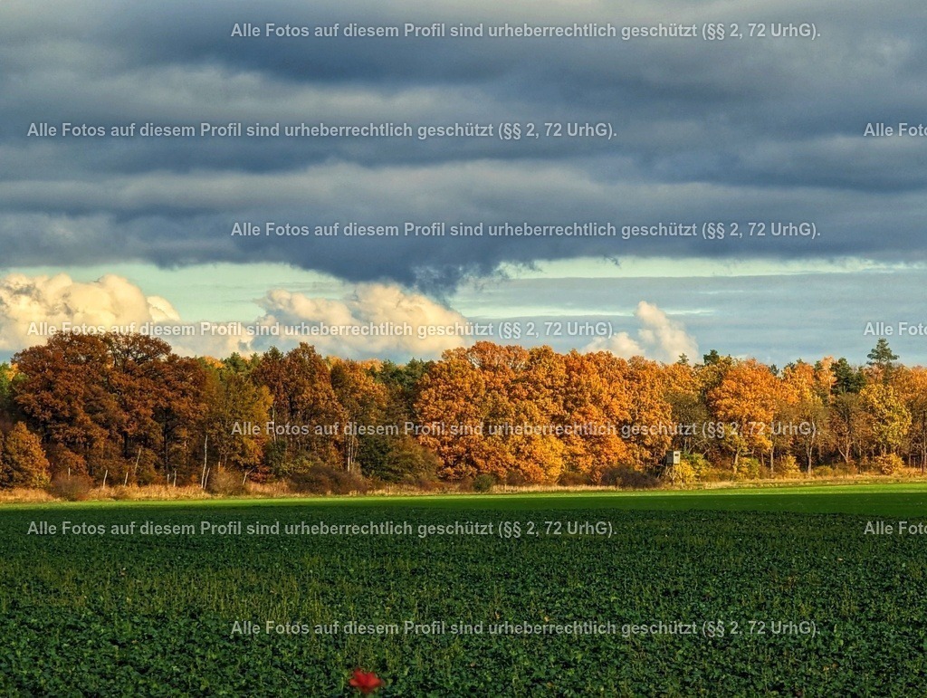 PXL_20231118_114252943_2-01 | krollfotografie - Realisiert mit Pictrs.com